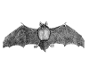 bat